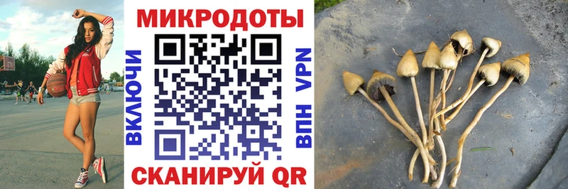 Псилоцибиновые грибы Cubensis  даркнет наркотические препараты  Жирновск 